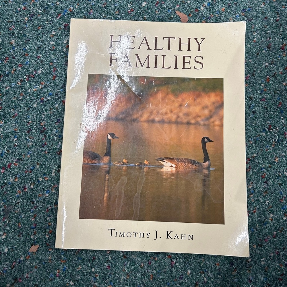 Healthy Families Timothy J. Kahn‎ 2011 First Edition Psychology SaferSociety